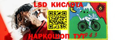 гидропоника Можга
