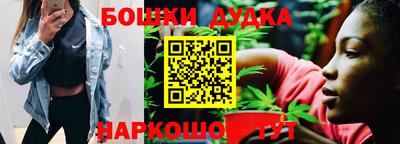 гидропоника Можга