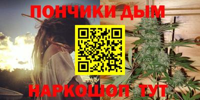 шишки Моздок