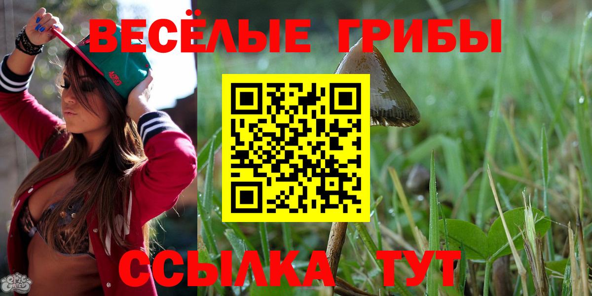 Псилоцибиновые грибы прущие грибы  Вход с VPN  Галлюциногенные грибы прущие грибы  Великий Новгород 